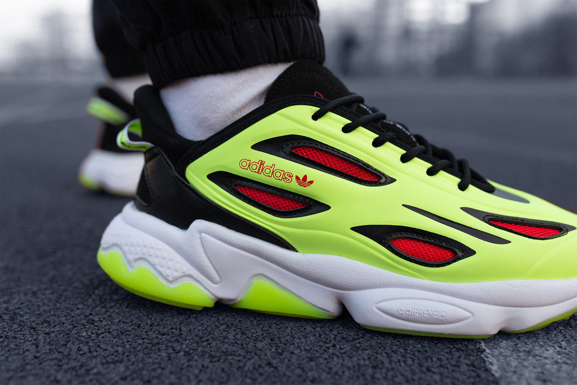 Кроссовки adidas Ozweego Celox